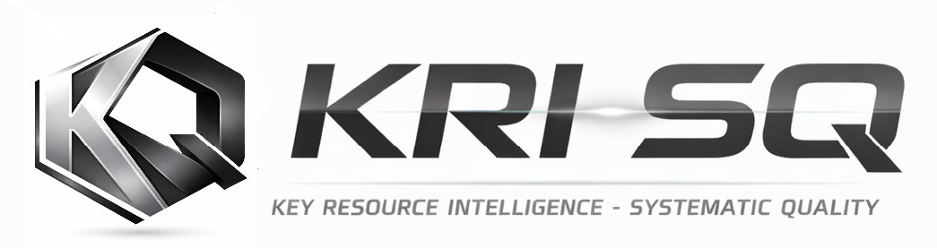 Key Risk Indicator Systems Quality Logo